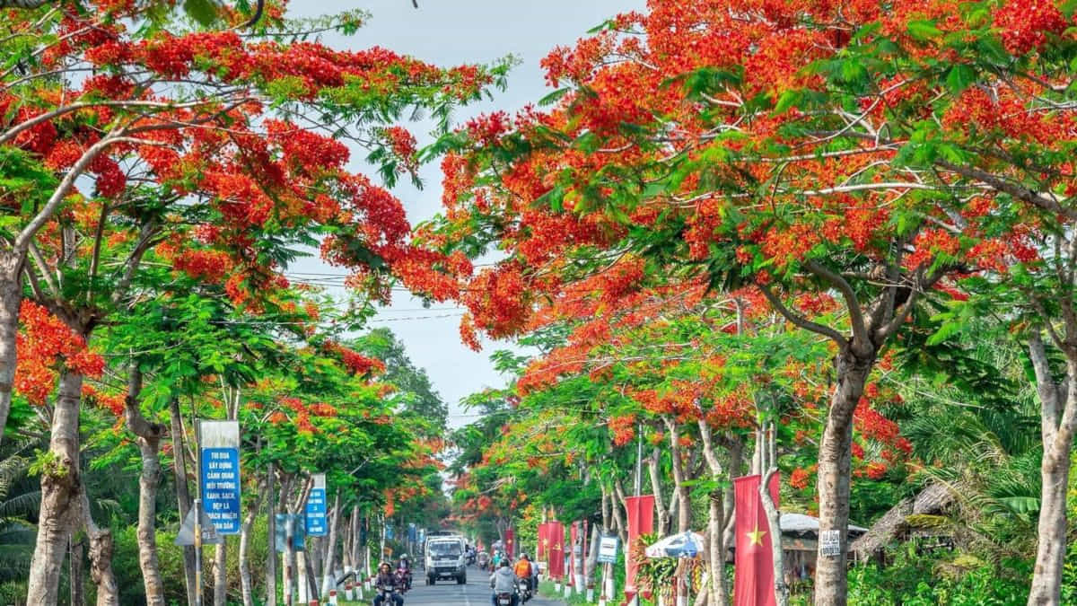 Hòn Dấu